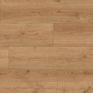 Classen Chino XL 56199Large AC5 8 mm