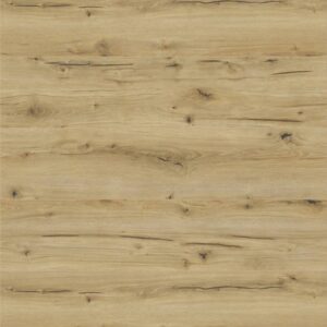 Classen Dąb Ardesia 62496 AC5