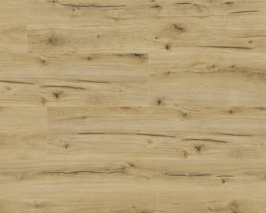 Classen Dąb Ardesia 62496 AC5 - obrazek 5