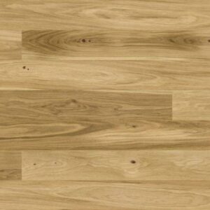 Dąb Askania grande 5Gc 1WG000675 14 mm