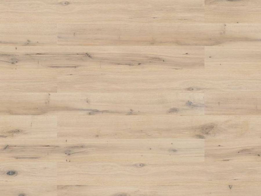 Dąb Ivory Grande 5Gc 1WG000626 14 mm