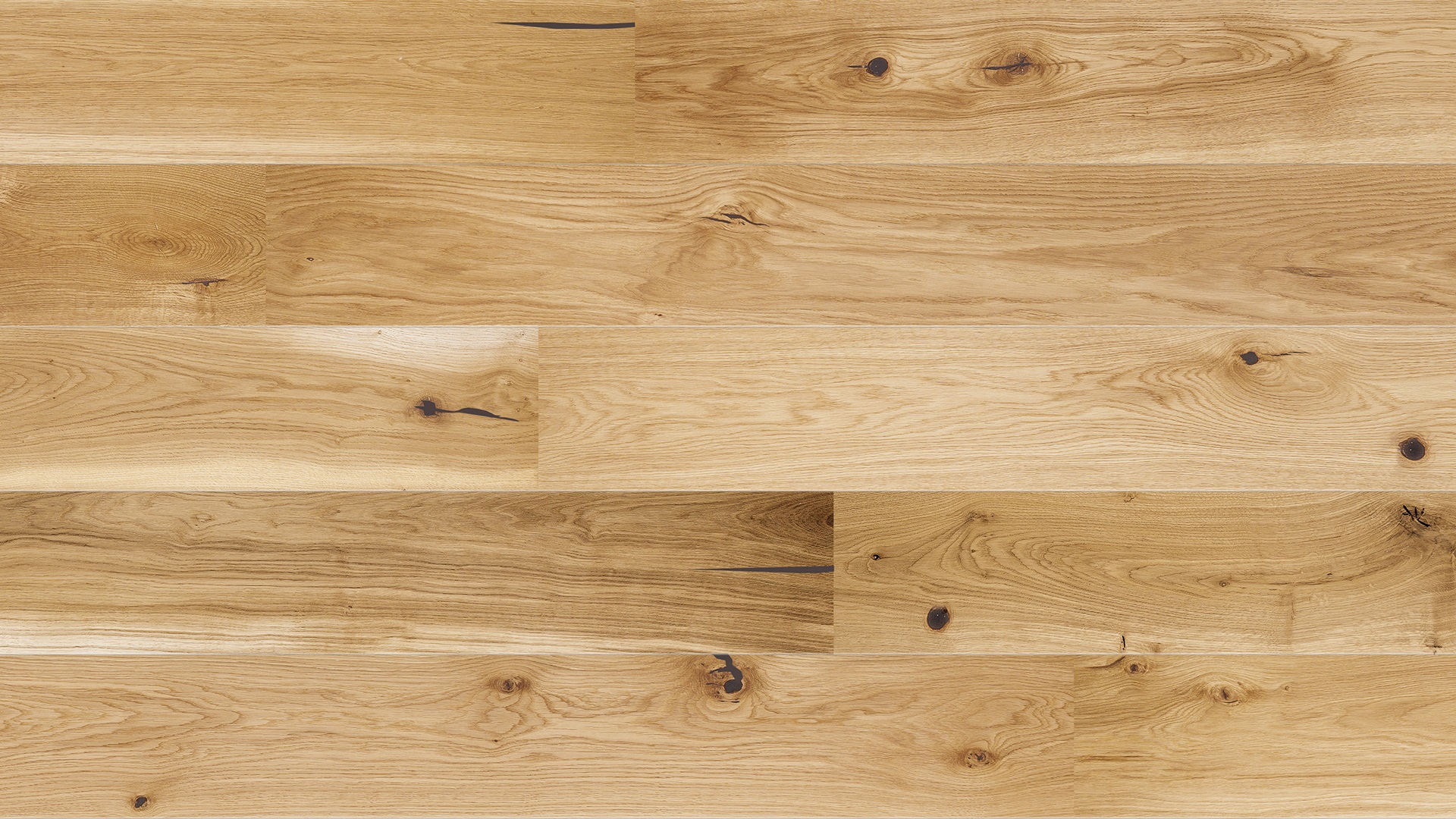 Dąb Joy 5GC 1WG000636 14 mm