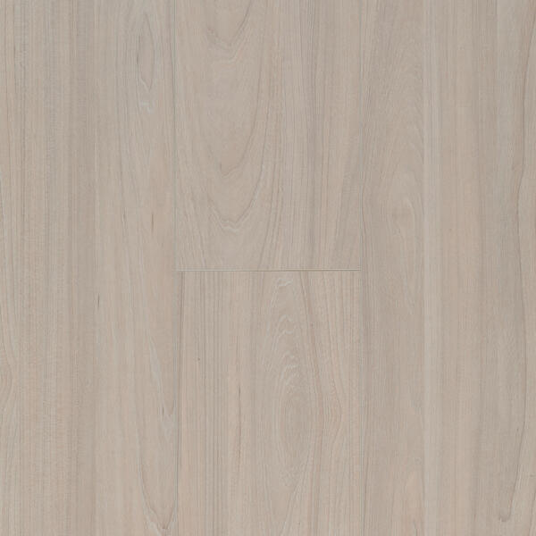 Panele podłogowe Ocean 8 V4 Elm Light 62002472 AC4/8mm