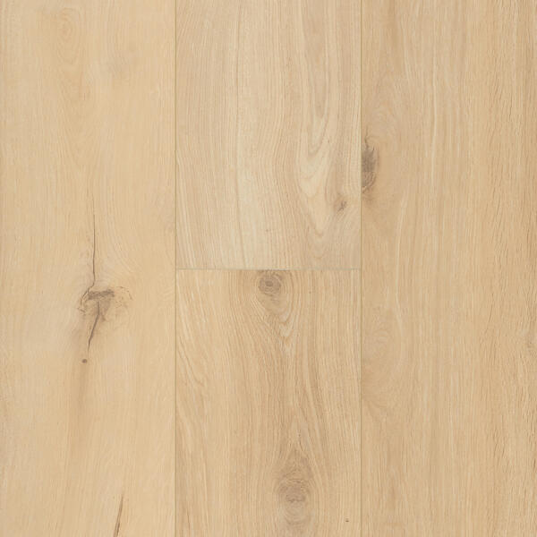 Panele podłogowe Connect 8 XL Gyant Xl Sand Natural 62002258 AC4/8mm